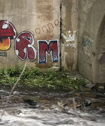 Tagged Canal Scenic Printed Backdrop
